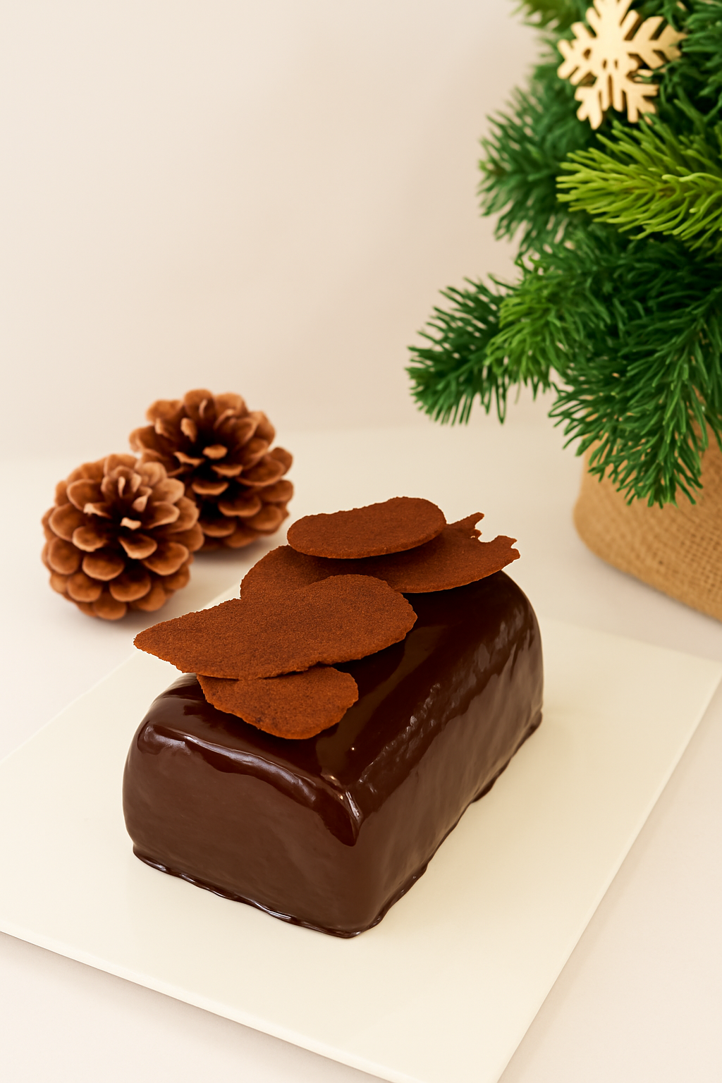 Bûche Noël